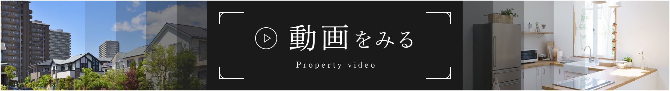 動画をみる