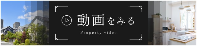 動画をみる