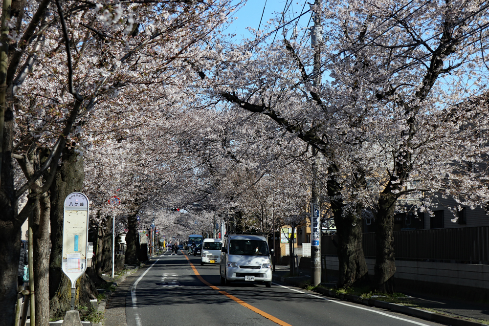【馬橋駅】歩18分　宅地分譲（松戸市八ヶ崎7丁目）画像