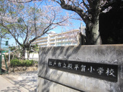 殿平賀小学校