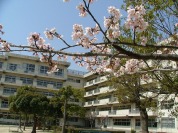 和名ヶ谷小学校