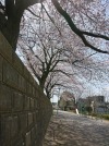 道合第一公園