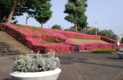 栗ヶ沢公園