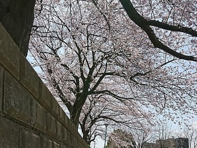 お子様と思い切り遊べます