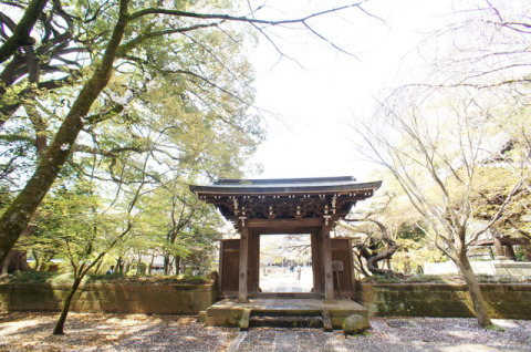 桜の季節や秋の紅葉シーズンが見ごろな近所のお寺