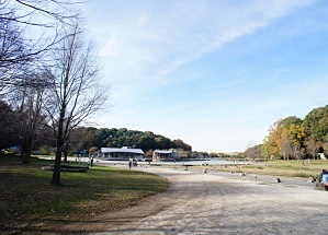 21世紀の森と広場 