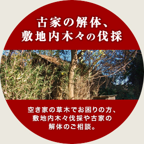 古家の解体、敷地内木々の伐採